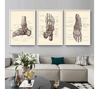 YLHKME Canvas Pictures Head Skeleton Feet Body Anatomy Vintage Art Print Poster Wall Pictures for Clinic Medical Decoration (Unframed, 3 x 50 x 70 cm)