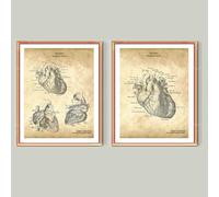YLHKME Human Heart Anatomy Pictures Canvas Painting, Vintage Style Medical Wall Pictures Living Room Bedroom Decorative Poster Art Prints, Without Frame (Frameless, 2 x 30 x 50 cm)