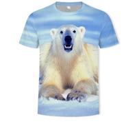 YLLMNOBN Animal Polar Bear Summer Men's 3D Print Quick-Drying Breathable T-Shirt Crew Neck Short Sleeve Top