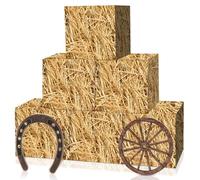YLOLUL 6 Pcs Hay Bales Boxes Large Decor with Wooden Wagon Wheels and Horseshoe Western Cowboy Party Rodeo Decorations Western Photo Booth Props for Western Cowboy Party Birthday Farm Favors Supplies