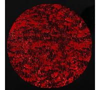 YLUSUJAKX Red Disposable Placemats Set of 50 Red Charger Plates Doilies Metallic Thin Mesh Round 13 Inch Glitter Foil Pressed Dining Table Decoration Centerpieces for Party Wedding Birthday