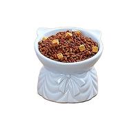 YLWX Oblique Mouth Cat Bowls Elevated Tilted Neck Guard Ceramic Cat Bowl Tall Cat Bowl Slanted Dog Bowl Anti Vomit Cat Bowls For Indoor Cats Anti-black Chin (Color : Blue, Size : Dress)