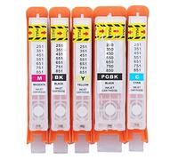 Ylwxzenith 5Pcs Ink Set, Reusable Printer Ink Cartridges, Ink Output with PGBK BK C M Y Colors, PP Material Inkjet for Photos, Documents, Test Papers Printing (450-451)