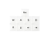 YMDK UV Print DSA WASD Arrow ESC Keycap 1.25mm ABS Transparent for MX Switches Keyboard