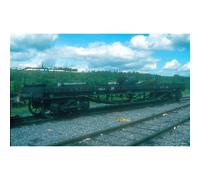 YMO Salmon Bogie Wagon BR