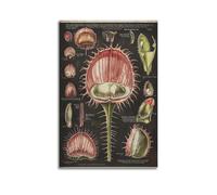 YMXHJJ Exquisite Modern Family Canvas Wall Art Picture Print Photo Album-Vintage Botanical Poster Venus Flytrap Detailed Illustration 20x30inch(50x75cm)