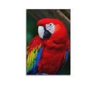 YMXHJJ Poster Unframe Canvas Wall Art Prints for Hallway Decor - Animal Close Range Standing Red Parrot 12x18inch(30x45cm) Picture Unframe Artwork