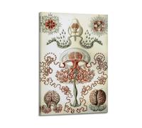 YMXSDIMDS Art Forms of Nature 2 by Ernst Haeckel Painting Art Posters Canvas And Wall Art Picture Print Modern Family Bedroom Decors 20x30inch(50x75cm)