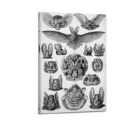 YMXSDIMDS Bats Decoration by Ernst Haeckel Painting Art Posters Decorative Painting Canvas Wall Art Living Rooms Bedroom 16x24inch(40x60cm)