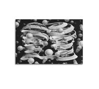 YMXSDIMDS Bond of Union by M.C. Escher Painting Poster Canvas And Wall Art Picture Print Modern Family Bedroom Decors 20x30inch(50x75cm)