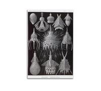 YMXSDIMDS Caged Insects by Ernst Haeckel Painting Art Posters Home Decor Wall Art Hanging Picture Print Bedroom Decorative Room Aesthetic 20x30inch(50x75cm)