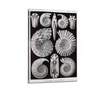 YMXSDIMDS Chrysolite by Ernst Haeckel Painting Art Posters Print Photo Art Canvas Home Decorative Bedroom Modern Decors 08x12inch(20x30cm)