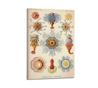YMXSDIMDS Marine Life by Ernst Haeckel Painting Art Posters Wall Art Bedroom Prints Home Decor Hanging Picture Canvas 12x18inch(30x45cm)