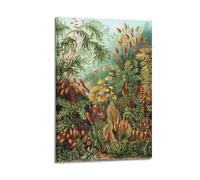 YMXSDIMDS Muscinae by Ernst Haeckel Painting Art Posters Art Canvas Decor Wall Print Photo Home Modern Decoratives 12x18inch(30x45cm)