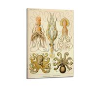 YMXSDIMDS Octopus Biology by Ernst Haeckel Painting Art Posters Print Photo Art Canvas Home Decorative Bedroom Modern Decors 24x36inch(60x90cm)
