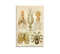 YMXSDIMDS Octopus Biology by Ernst Haeckel Painting Art Posters Wall Art Canvas Prints Hanging Picture Home Decors Idea 24x36inch(60x90cm)