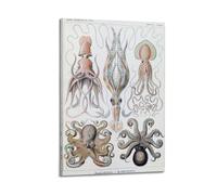 YMXSDIMDS Octopus by Ernst Haeckel Painting Art Posters Canvas And Wall Art Picture Print Modern Family Bedroom Decors 16x24inch(40x60cm)