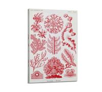 YMXSDIMDS Red Algae by Ernst Haeckel Painting Art Posters Wall Art Canvas Living Room Bedroom Decor Artworks 12x18inch(30x45cm)