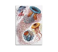 YMXSDIMDS Vintage Jelly Fish by Ernst Haeckel Painting Art Posters Wall Art Canvas Prints Hanging Picture Home Decors Idea 16x24inch(40x60cm)
