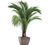 Ymxygz 3d Green Plant Wall Sticker, Simulation Green Plants Potted Art Wall Stickers, Vase Plant Flower Wall Decal for Home Office Decoration