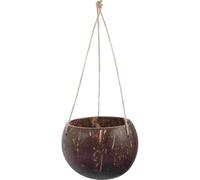 Ymxygz Coconut Shell Plant Hanging Basket Planter Flower Pot Wall Hanging Planter Ceiling Plants Holder Flower Pot Hanger for Home Garden