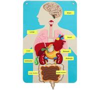 Ymxygz Felt Human Body Puzzle Funny Body Jigsaw Children's Learning Board for Daycare Home Learning Kids and Educational Toddler Games
