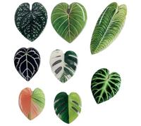 Ymxygz Plant Fridge Magnets 8pcs Cute Monstera Leaf Refrigerator Magnets Home Kitchen Decor, Whiteboard Stickers and Housewarming Gift for Plant Lover