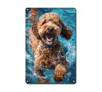 Ymyoo Decorative Tin Sign Vintage Wall Art Poodle's Pool Play Tin Sign for Poodle Lovers' Dens Modern Home Decor Corrosion Resistant Aluminum 12×16 Inches
