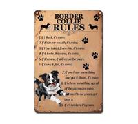 Ymyoo Metal Sign Tin Sign Vintage Wall Art Border Collie Rules Tin Signs for Garden for Room 12×16 Inches