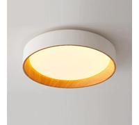 YNAHZAOK Creativity LED Ultra Bright Ceiling Lamp Modern Bedroom Ceiling Lights Minimalist Close to Ceiling Light Fixture 3000k/4000K/6500k for Kitchen Island Hallway Farmhouse Dining Room