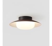YNAHZAOK LED Flush Mount Ceiling Light Fixture Modern Bedroom Ceiling Lights Daily Furniture Energy-Saving Lamps for Interior Decoration Lighting 3000k/4000K/6500k for Kitchen Island Teahouse