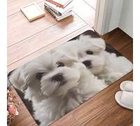 YNCATXZ Cute Maltese Puppy Door Mat 40 x 60 cm Non-Slip Indoor Outdoor Mat Welcome Mat Washable Door Rug for Entryway Doormats Absorbent Flannel Bath Mats