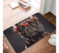 YNCATXZ French Bulldog Door Mat 40 x 60 cm Non-Slip Indoor Outdoor Mat Welcome Mat Washable Door Rug for Entryway Doormats Absorbent Flannel Bath Mats