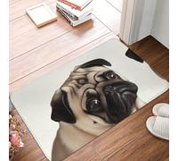 YNCATXZ Pug Dog Door Mat 40 x 60 cm Non-Slip Indoor Outdoor Mat Welcome Mat Washable Door Rug for Entryway Doormats Absorbent Flannel Bath Mats
