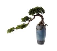 YNIYUJKL Artificial Trees Artificial Bonsai Tree New Chinese-Style Green Simulation Bonsai Tree Office Living Room Desktop Large Decor Simulation Potted Plant With Cera,