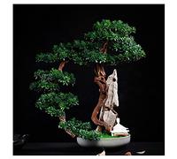 YNIYUJKL Artificial Trees Artificial Cliff Cypress Songke Bonsai Cliff Wall Weaving Rockery Podocarpus Maple Leaf Office Living Room Zen Potted Ornaments Simulated Pine,B