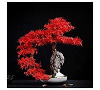 YNIYUJKL Artificial Trees Artificial Cliff Cypress Songke Bonsai Cliff Wall Weaving Rockery Podocarpus Maple Leaf Office Living Room Zen Potted Ornaments Simulated Pine,D