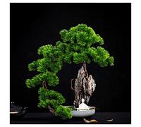 YNIYUJKL Artificial Trees Artificial Cliff Cypress Songke Bonsai Cliff Wall Weaving Rockery Podocarpus Maple Leaf Office Living Room Zen Potted Ornaments Simulated Pine,Brass