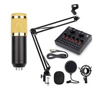 YNIYUJKL Condenser Microphone Kit Pc Microphone Kit With Usb Sound Card Adjustable Metal Arm Stand Professional Mic Set Great For Recording Video
