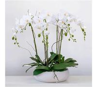 YNIYUJKL Silk Artificial Orchid 3/5 /6 Flowers Artificial Butterfly Orchid Potted With Vase Artificial Flower Large Fake Floral