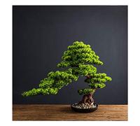 YNIYUJKL Simulation Tree Green Plant Simulation Big Bonsai Fake Plant Indoor Garden Home Office Desktop Decoration Simulation Tree Ornaments Artificial Bonsai Tree,Green-B