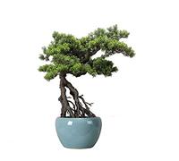YNIYUJKL Simulation Tree Imitation Thuja Pine Tree Bonsai Fake Green Plants Zen Ornaments Are Suitable For Home Shops, Offices, Coffee Table Decoration And Healing Arti,