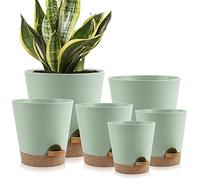 YNNICO Plant Pots Indoor 8/7/6.5/6/5.5/5 Inch Self Watering Planters with Drainage Holes and Saucers, Plastic Flower Pots, Nursery Planting Pot for Indoor Out Door Plants