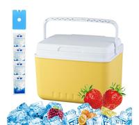 YNPQTDS 26x19x20cm Cooler Box Insulated Cool Box Chiller With Handle Small Refrigerator Leak Proof Portable Storage Container Freezer For Travel Hiking BBQ