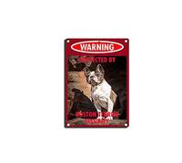 YNRBGDFR Vintage Dog Metal Tin Signs - Warning Protected by Boston Terrier Security Tin Sign Retro Home Wall Decorative -8x12inch-Tin Sign