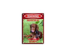 YNRBGDFR Vintage Dog Metal Tin Signs - Warning Protected by Dachshund Security Tin Sign Retro Home Wall Decorative -8x12inch-Tin Sign