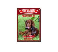 YNRBGDFR Vintage Dog Metal Tin Signs - Warning Protected by Dachshund Security Tin Sign Retro Home Wall Decorative -12x16inch-Tin Sign