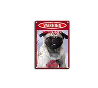 YNRBGDFR Vintage Dog Metal Tin Signs - Warning Protected by Pug Security Tin Sign Retro Home Wall Decorative -8x12inch-Tin Sign