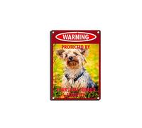 YNRBGDFR Vintage Dog Metal Tin Signs - Warning Protected by Yorkshire Terrier Security Tin Sign Retro Home Wall Decorative -8x12inch-Tin Sign