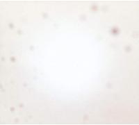 Yo La Tengo - There'S A Riot Going On [VINYL]